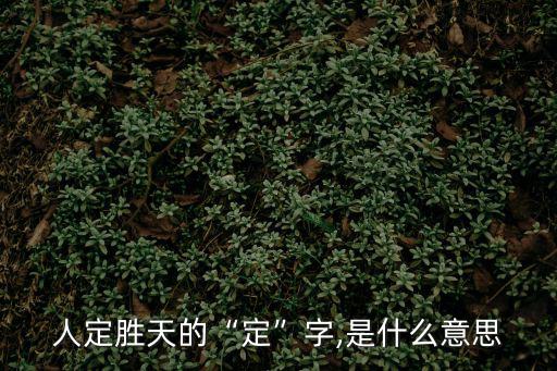 人定勝天的“定”字,是什么意思