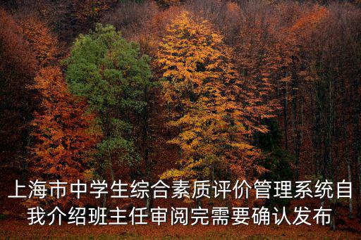 上海市中學生綜合素質評價管理系統自我介紹班主任審閱完需要確認發布