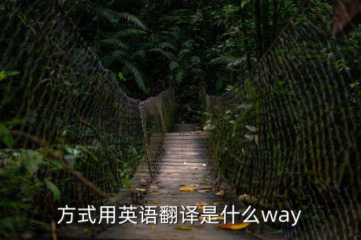 方式用英語(yǔ)翻譯是什么way