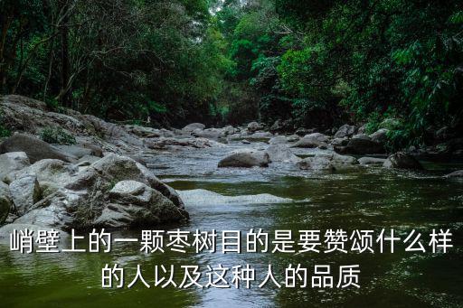 峭壁上的一顆棗樹目的是要贊頌什么樣的人以及這種人的品質