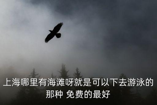 上海哪里有海灘呀就是可以下去游泳的那種 免費的最好