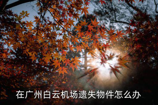 在廣州白云機場遺失物件怎么辦