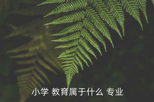  小學 教育屬于什么 專業