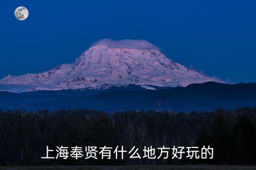 上海奉賢有什么地方好玩的