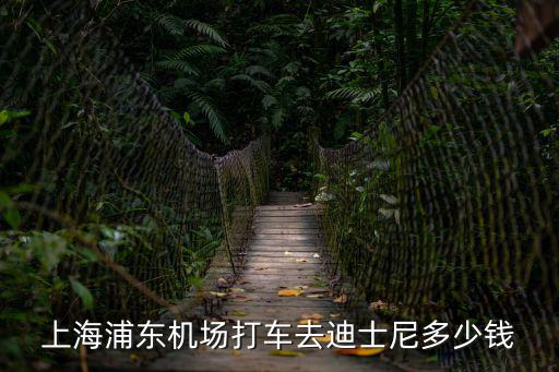 上海市區到迪士尼打車價格，從上海火車站到上海迪士尼打的的價格
