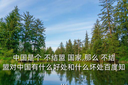 不結盟國家,中國曾是不結盟運動觀察員