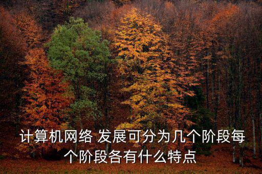  計(jì)算機(jī)網(wǎng)絡(luò) 發(fā)展可分為幾個階段每個階段各有什么特點(diǎn)