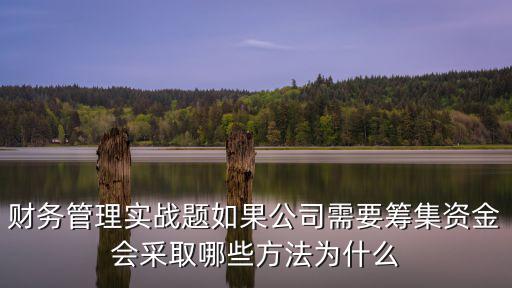 上海市供水資金籌措，資金的籌措方式有哪些