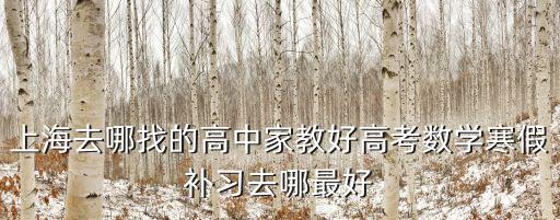 上海去哪找的高中家教好高考數學寒假補習去哪最好