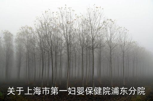 上海市第一婦嬰保健東院院，關于上海市第一婦嬰保健院浦東分院