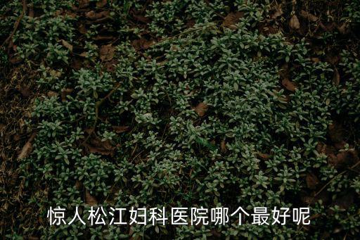 松江區婦幼保健院看婦科怎么樣，松江哪家醫院看婦科比較有效果呢