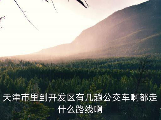 天津市里到開發區有幾趟公交車啊都走什么路線啊