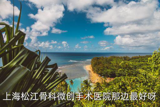 上海松江骨科微創(chuàng)手術(shù)醫(yī)院那邊最好呀