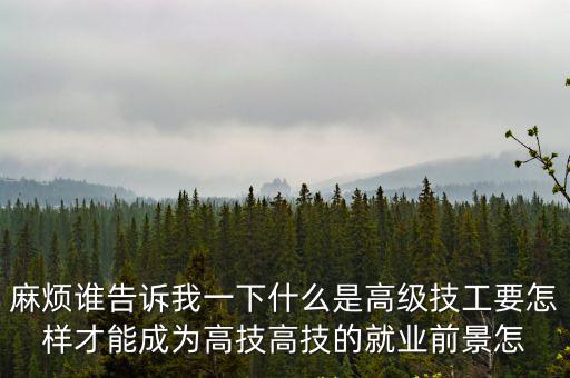 麻煩誰告訴我一下什么是高級技工要怎樣才能成為高技高技的就業(yè)前景怎