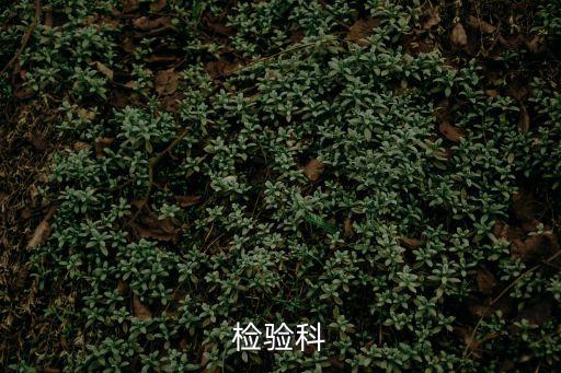 天津市泰達醫院檢驗科，檢驗科