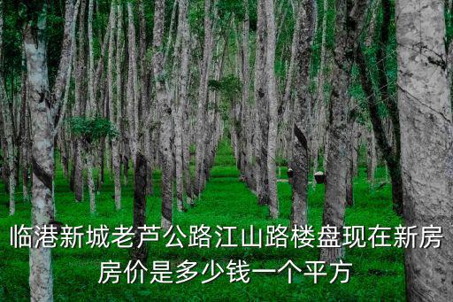 臨港新城老蘆公路江山路樓盤現(xiàn)在新房房價是多少錢一個平方