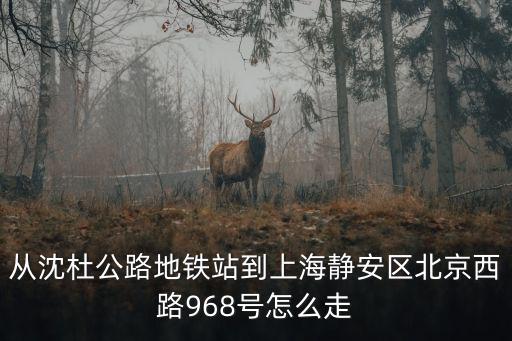 從沈杜公路地鐵站到上海靜安區北京西路968號怎么走