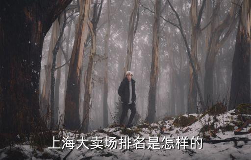 上海大賣場排名是怎樣的