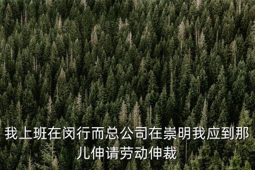 上海市崇明區勞動仲裁地址，上海勞動仲裁電話和地址是什么