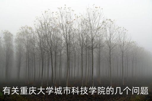 有關(guān)重慶大學(xué)城市科技學(xué)院的幾個(gè)問(wèn)題