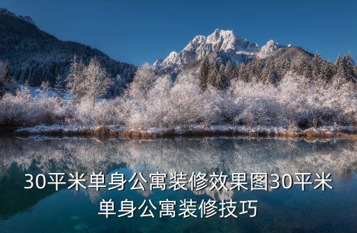 30平米單身公寓裝修效果圖30平米單身公寓裝修技巧