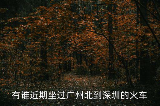 有誰近期坐過廣州北到深圳的火車