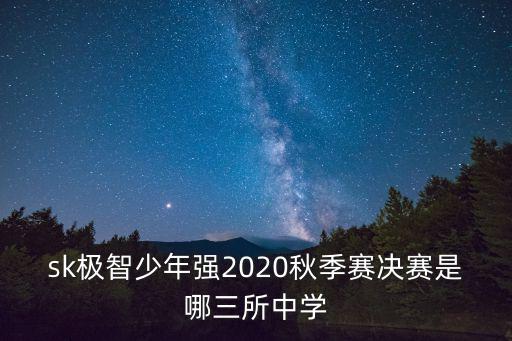 sk極智少年強2020秋季賽決賽是哪三所中學