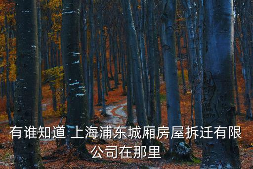 有誰知道 上海浦東城廂房屋拆遷有限公司在那里
