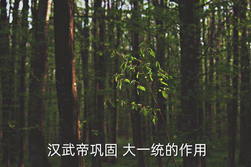  漢武帝鞏固 大一統(tǒng)的作用