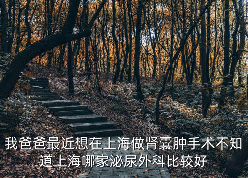 我爸爸最近想在上海做腎囊腫手術不知道上海哪家泌尿外科比較好