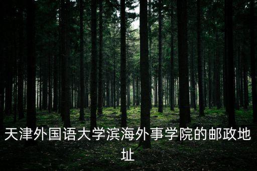 天津外國語大學濱海外事學院的郵政地址