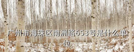 廣州市海珠區南洲路653號是什么單位