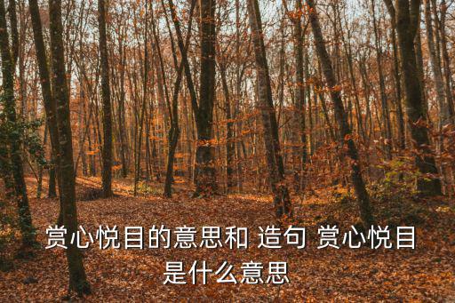 賞心悅目造句,賞心悅目