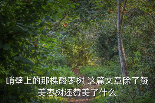峭壁上的那棵酸棗樹 這篇文章除了贊美棗樹還贊美了什么
