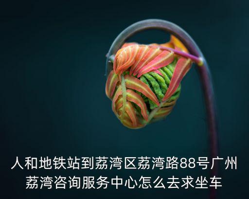人和地鐵站到荔灣區荔灣路88號廣州荔灣咨詢服務中心怎么去求坐車