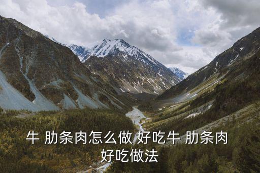 牛肋條怎么做好吃,秘制!牛肉排骨湯