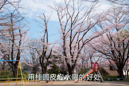 用桂圓皮泡水喝的好處