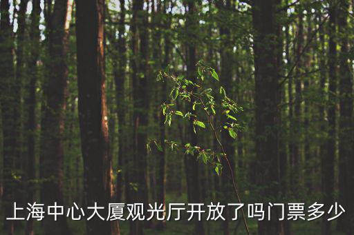 上海中心大廈觀光廳開放了嗎門票多少
