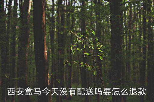 西安盒馬今天沒有配送嗎要怎么退款