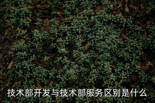 技術部開發與技術部服務區別是什么