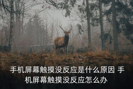  手機屏幕觸摸沒反應是什么原因 手機屏幕觸摸沒反應怎么辦