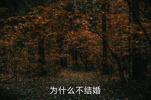 為什么不結(jié)婚，人為什么不結(jié)婚呢