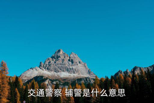 交通警察 輔警是什么意思