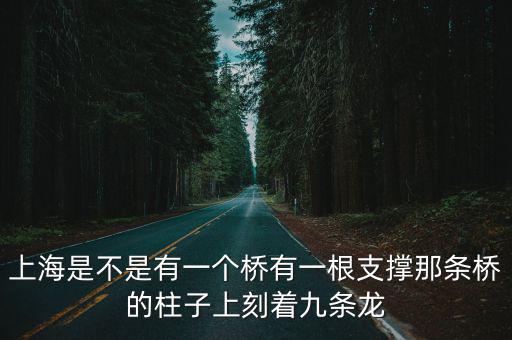 上海是不是有一個橋有一根支撐那條橋的柱子上刻著九條龍