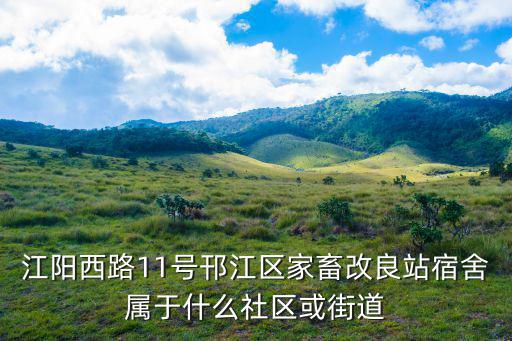 江陽西路11號邗江區家畜改良站宿舍屬于什么社區或街道