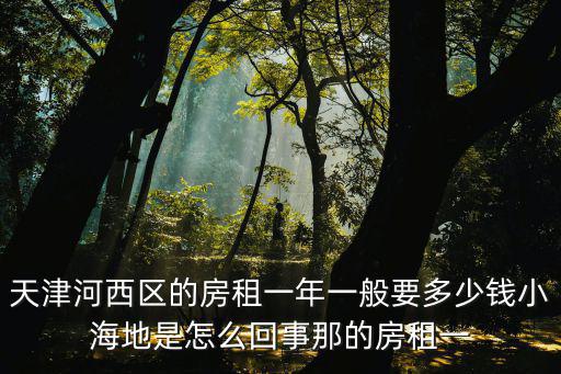 天津河西區的房租一年一般要多少錢小海地是怎么回事那的房租一