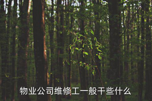 物業(yè)公司維修工一般干些什么
