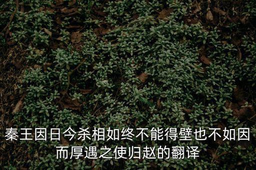 不如因而厚遇之，秦王因日今殺相如終不能得壁也不如因而厚遇之使歸趙的翻譯