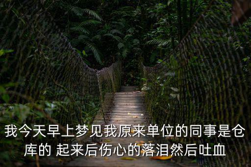 夢見單位同事，我夢到了自己的同事