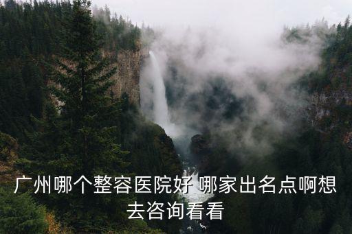 廣州哪個(gè)整容醫(yī)院好 哪家出名點(diǎn)啊想去咨詢看看